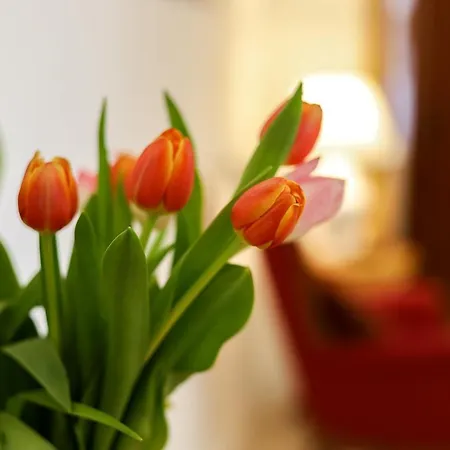 Casa Di Bì By Casa Di Marco Ap10 Appartamento Sannicola