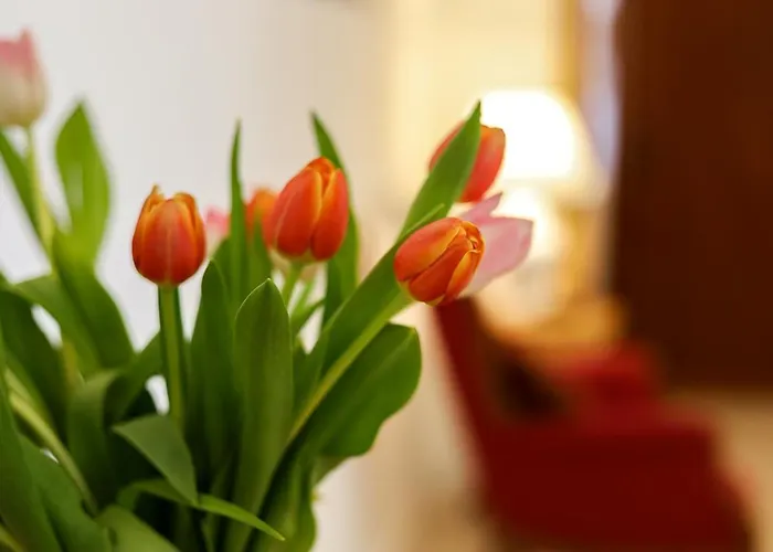 Casa Di Bi By Casa Di Marco Lägenhet Sannicola